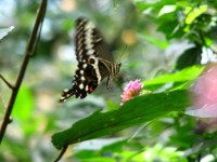/album/uganda/img-0931-jpg/